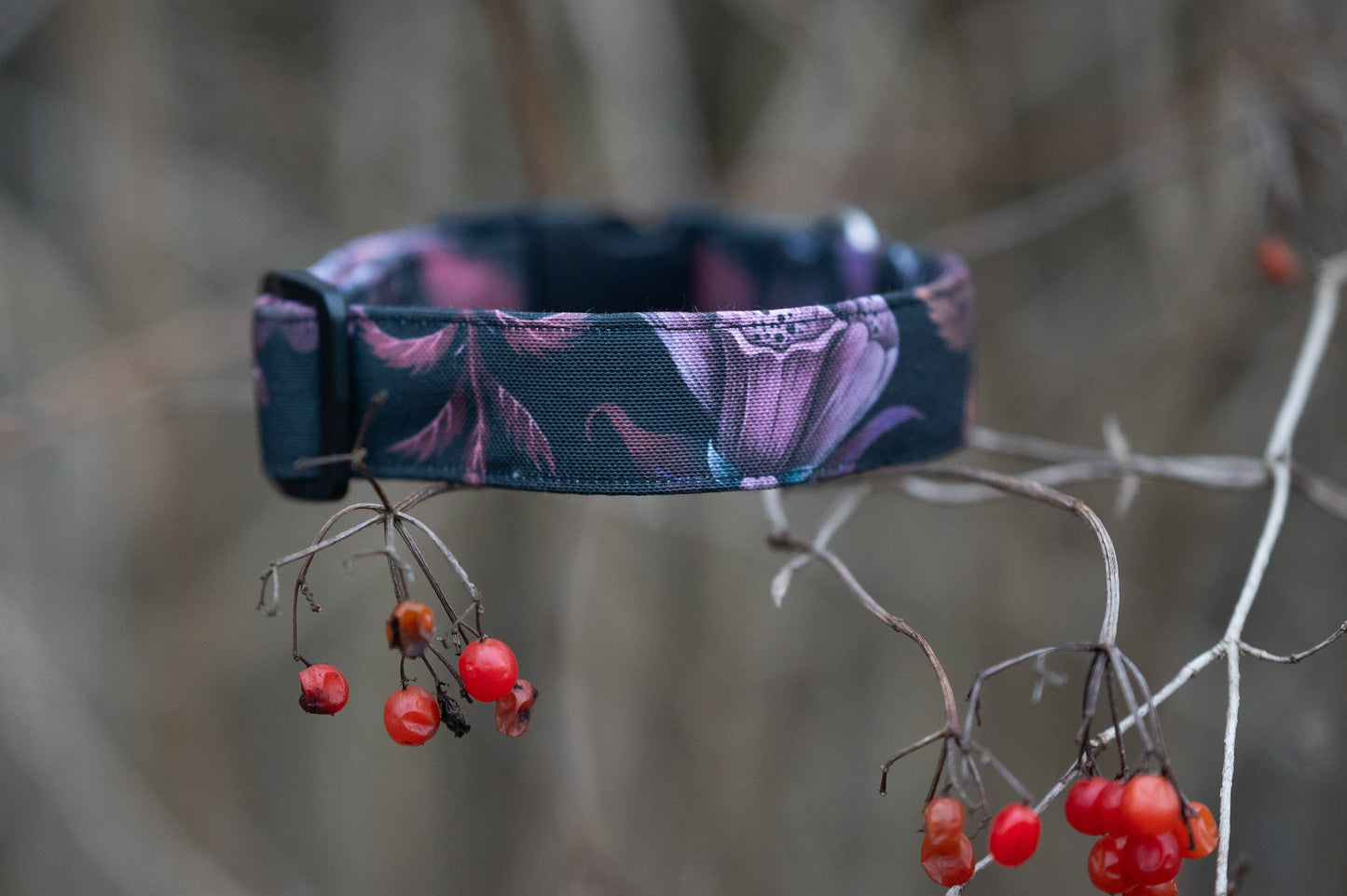 Canvas Hundehalsband