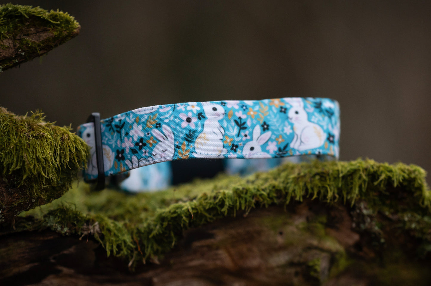 Canvas Hundehalsband