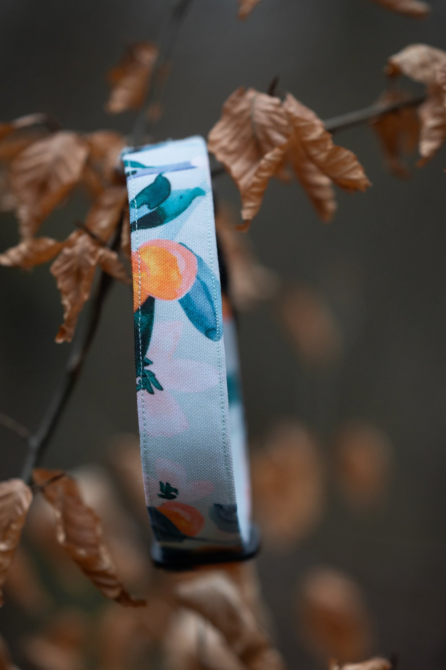 Canvas Hundehalsband