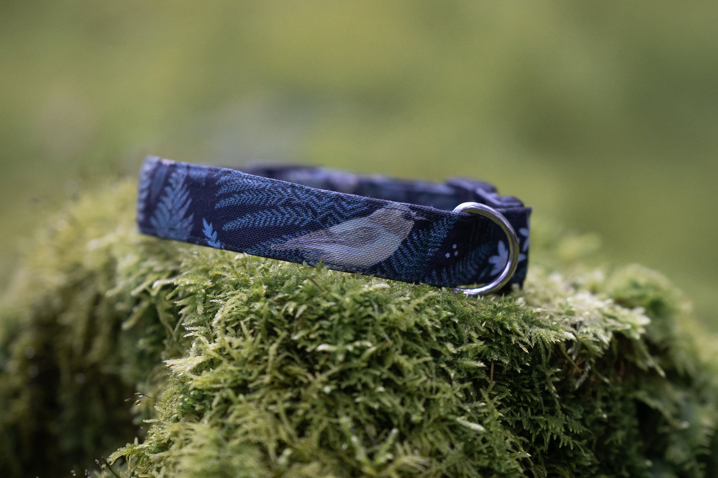 Canvas Hundehalsband