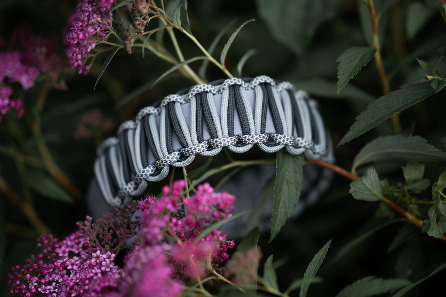 Personalisiertes Hundehalsband Biothane