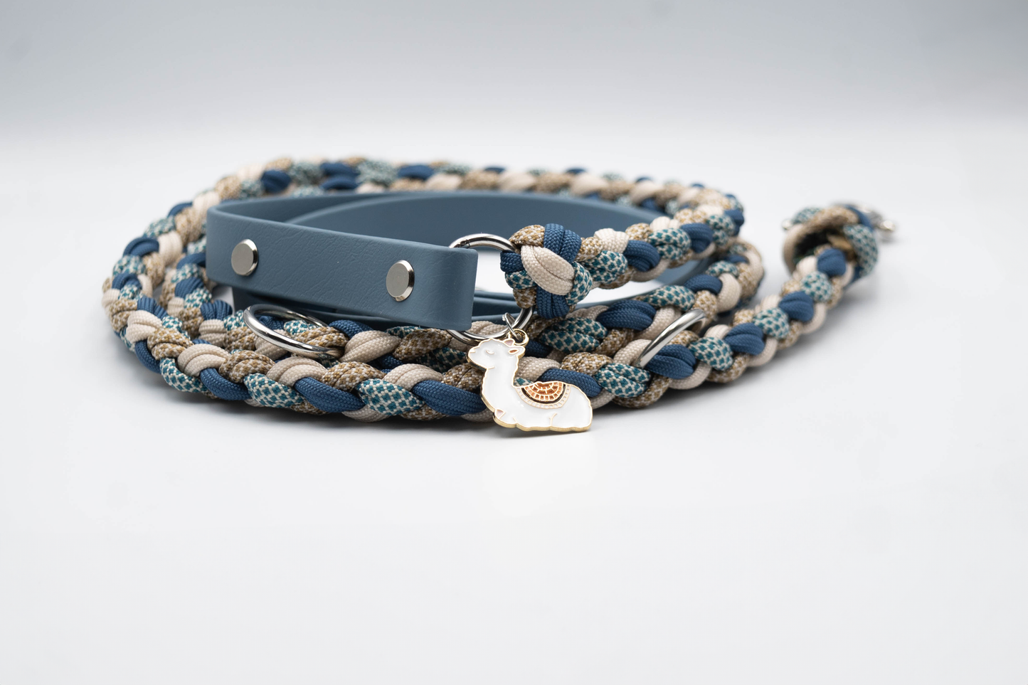 Biothane Paracord Leine 2m