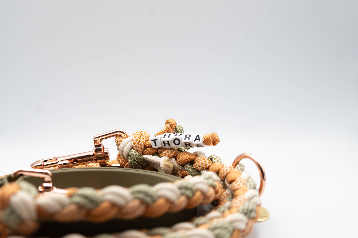 Leine "Biothane meets Paracord"