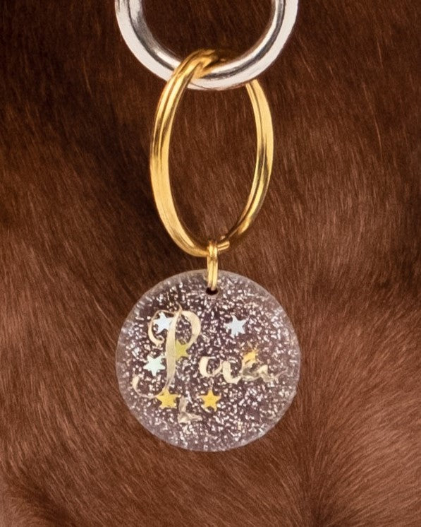 Hundemarke Resin "Star"