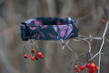 Canvas Hundehalsband
