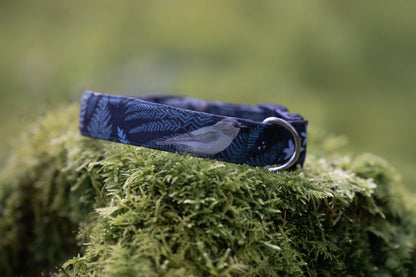 Canvas Hundehalsband