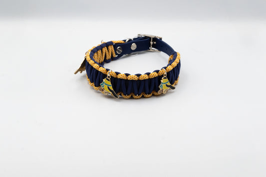 Biothane-Paracordhalsband S