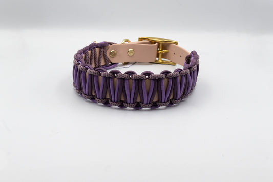 Biothane-Paracordhalsband M