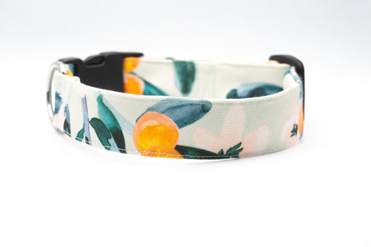 Halsband Canvas "Clementine"