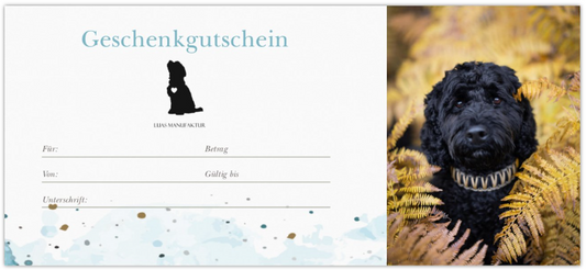 Geschenkgutschein