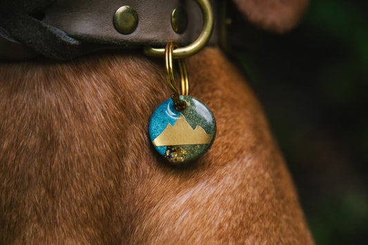 Hundemarke Resin "Motive"